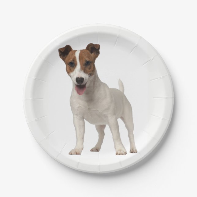 Love Jack Russel Terrier Puppy Dog Paper Plates (Front)