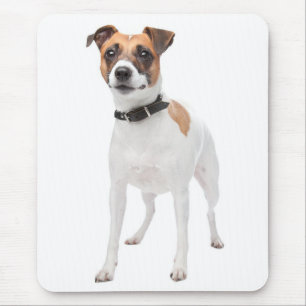 Love Jack Russell Terrier Puppy Dog Mousepad