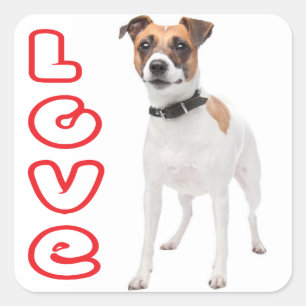 Love Jack Russell Terrier Puppy Dog Sticker / Seal
