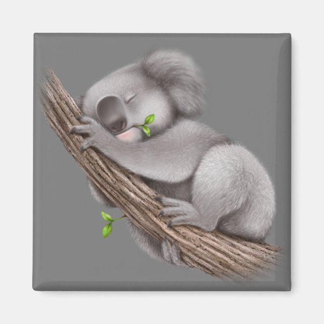 Love Koala Bears  Magnet (Front)
