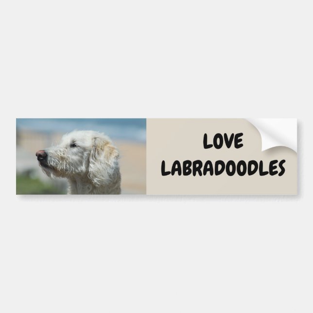Love Labradoodles Bumper Sticker (Front)