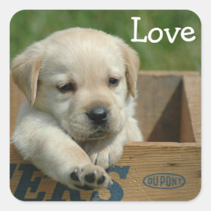 Love Labrador Retriever Puppy Sticker / Label