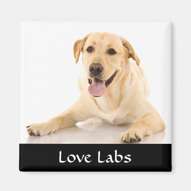 Love Labs "Yellow Labrador Retreiver" Magnet (Devant)