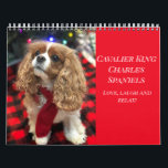 Love, Laugh & Relax Cavalier King Charles Spaniels Calendar<br><div class="desc">Enjoy each month with a sweet photo of one of my Cavaliers plus a fun tip on staying relaxed through the year!</div>