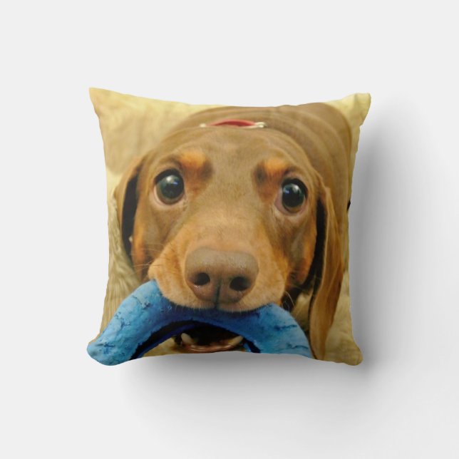 LOVE & LICKS Pluto chewing toy cream Throw Pillow (Front)