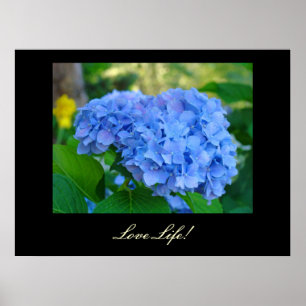 Love Life! art prints Blue Hydrangea Floral art