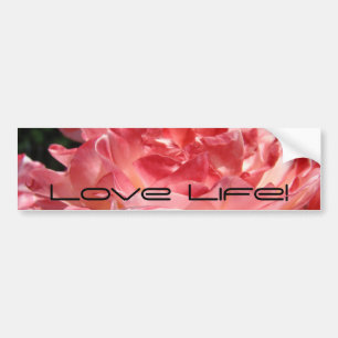 Love Life! bumper sticker Pink Summer Rose Flower