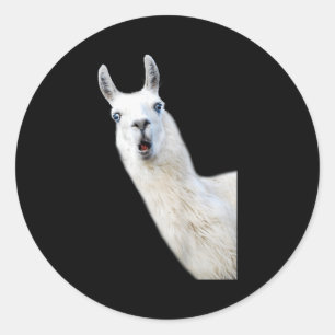 Love Llama Women Shirt Llama Lovers For Kids And G Classic Round Sticker