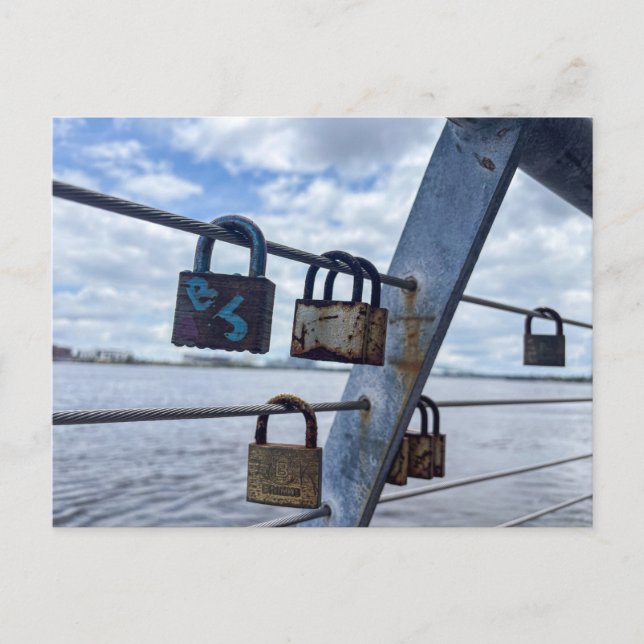 Love Lock Railing Postcard (Front)