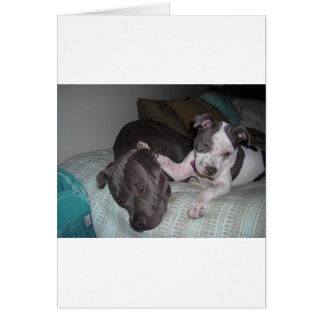 love, love, love (Front)