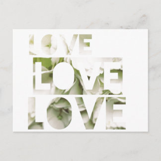 Love Love Love Postcard