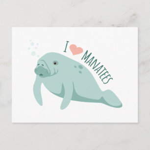 Love Manatees Postcard
