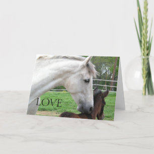 LOVE MARE AND FOAL CARD
