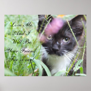 Love Me Kitten Poster