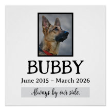 Love Memorial Funeral Pet Loss In Our Hearts Forev