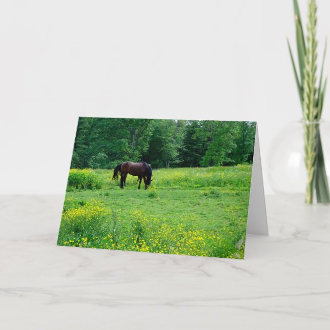 LOVE MY HORSIE! card (Front)