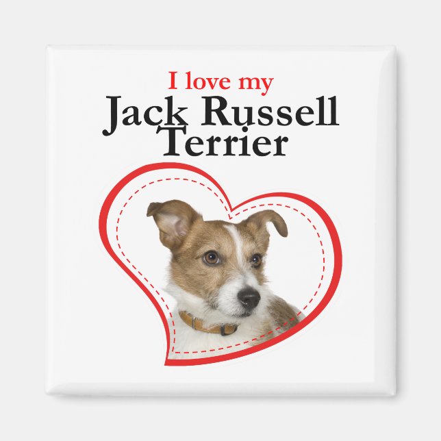 Love My Jack Russell Terrier Magnet (Front)