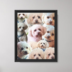 Love My Poodle Canvas Art Frame