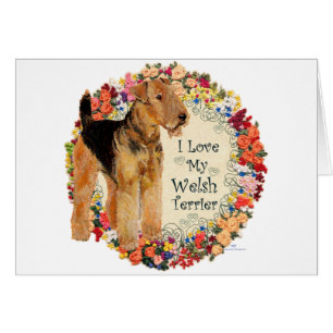 Love My Welsh Terrier