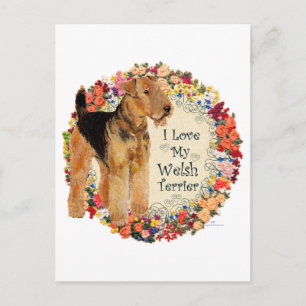 Love My Welsh Terrier Postcard
