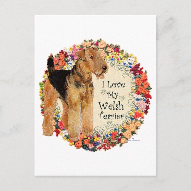 Love My Welsh Terrier Postcard (Front)