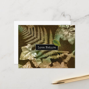 Love Nature Ferny Leaf Print  Holiday Postcard