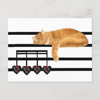 Love notes from the cat postcard