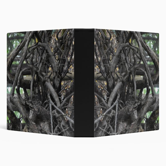 Love of a Fallen Tree Binder (Background)