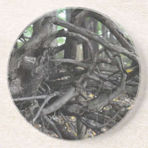 Love of a Fallen Tree Coaster