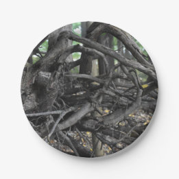 Love of a Fallen Tree Paper Plate