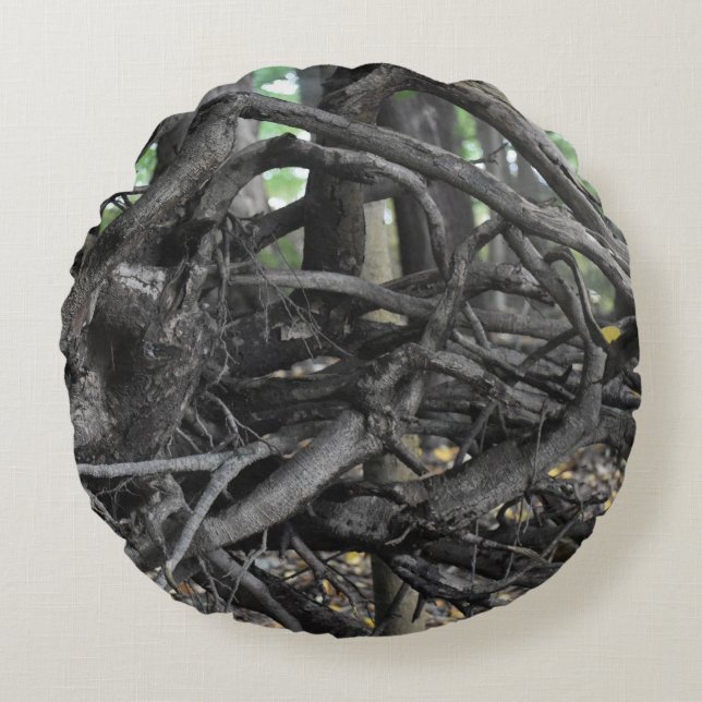 Love of a Fallen Tree Round Pillow (Front)