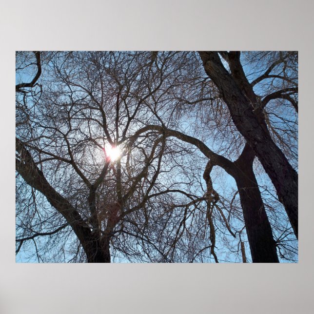 Love of Nature Poster (Front)