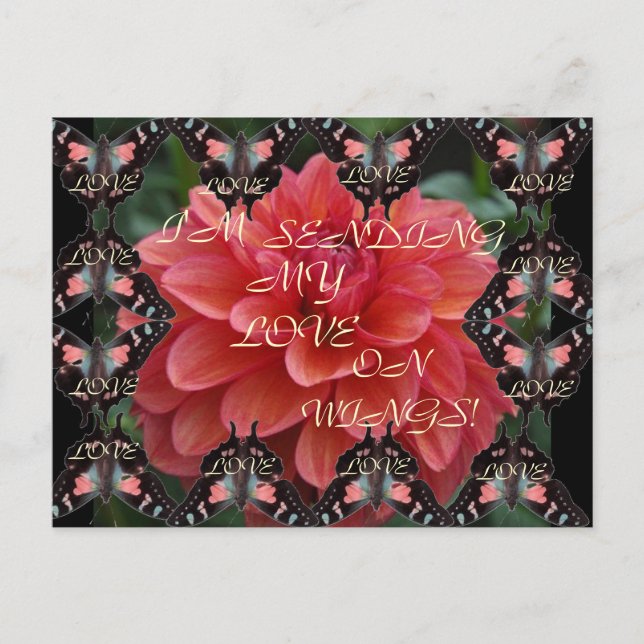 LOVE ON WINGS! Postcard (Front)
