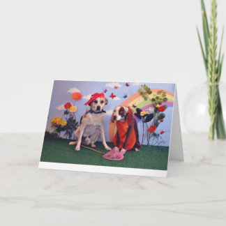 Love or anniversary card, dog photo, humourous card