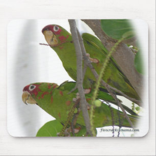 Love Parrots Mousepad