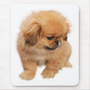 Love Pekingese Puppy Dog Mousepad