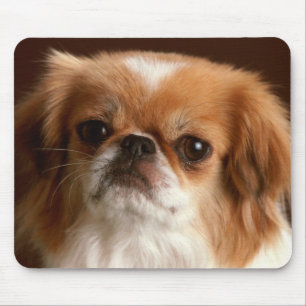 Love Pekingese Puppy Dog Mousepad
