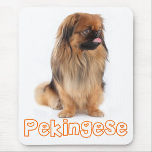 Love Pekingese Puppy Dog Mousepad