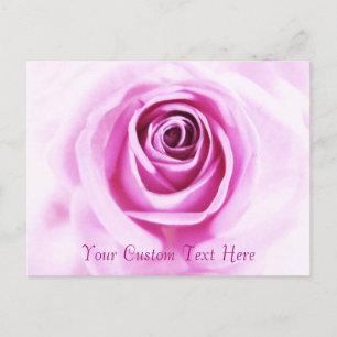 Love Pink Rose Custom text Postcard