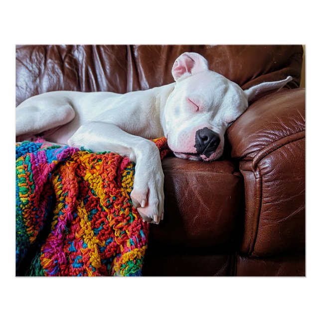 Love Pitbull Dog Sleeping on the Couch Poster (Front)