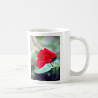 Love Poem and Red Rose Bud Coffee Mug