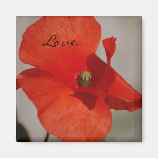 Love Poppy Magnet (Front)