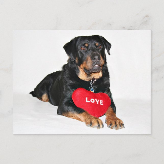 Love Postcard (Front)