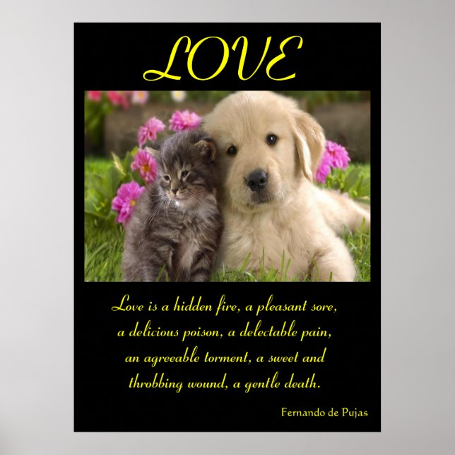 LOVE Posters Animal 1 (Front)