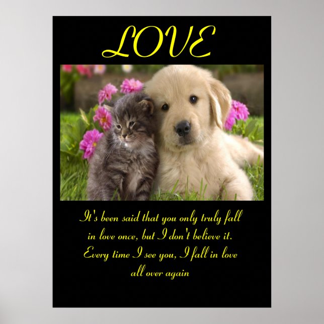 LOVE Posters Animal 1 (Front)