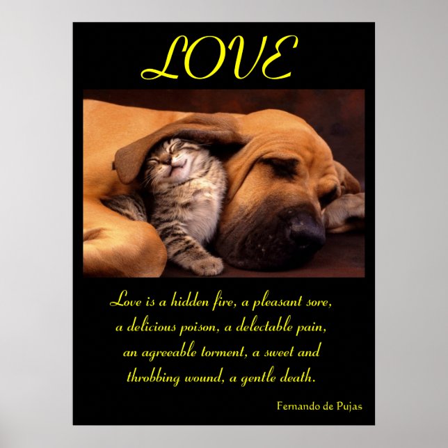 LOVE Posters Animal 2 (Front)