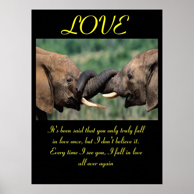 LOVE Posters Animal 6 (Front)