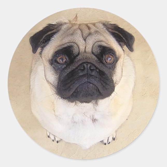 Love Pug Puppy Dog Stickers / Seals (Front)