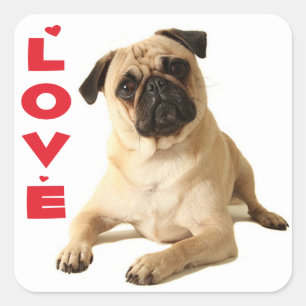 Love Pug Puppy Dog - Thinking of You Square Sticker