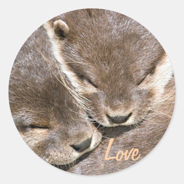 Love Quote - Otters Classic Round Sticker (Front)